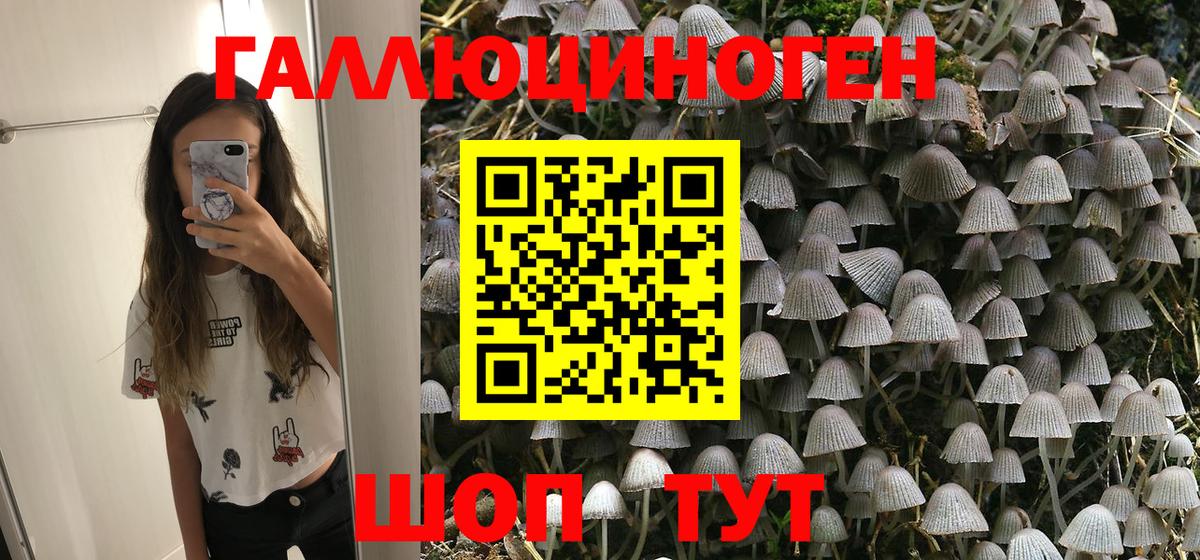 Галлюциногенные грибы Psilocybe  Вход с VPN  Псилоцибиновые грибы прущие грибы  Советская Гавань 